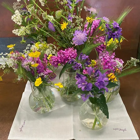 Restaurant Aupres D'angele 3* Marcillac-Vallon